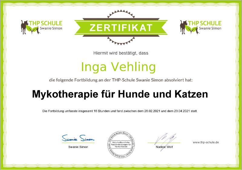 Zertifizierung zur Mykotherapie für Hunde in Hamburg